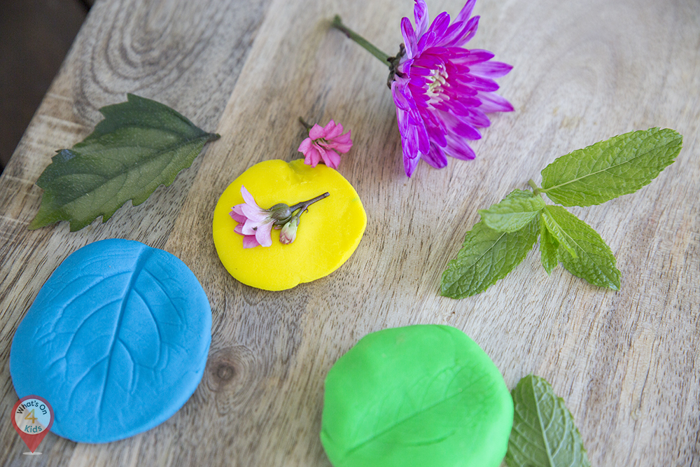 Bring Your Child's Dried Out Play-Doh Back to Life With This Hack – Mom  Life in the PNW