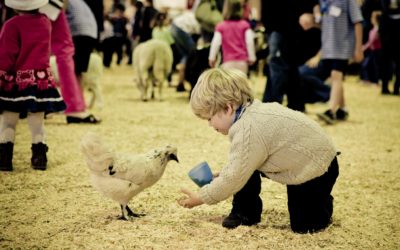 Family Passes to this year’s QLD EKKA are up for grabs!