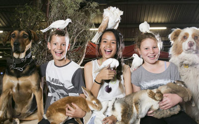 Fun Things to do these School Holidays in Perth