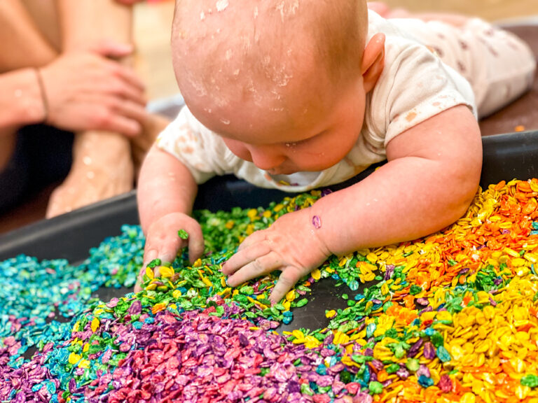 IMG 2620 jpg 768x576