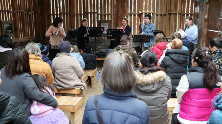 Arcadia Winds 1920 768x432