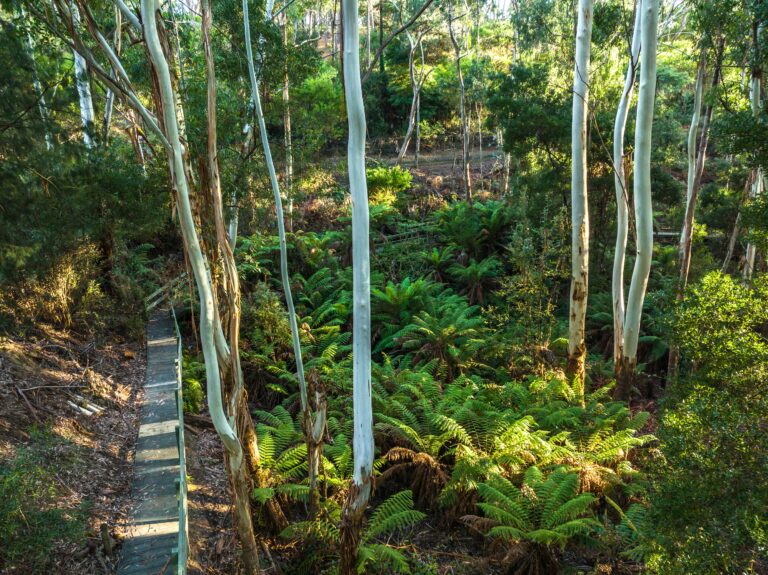 Warrawong Adelaide Hills SA 20220511 0399 768x575