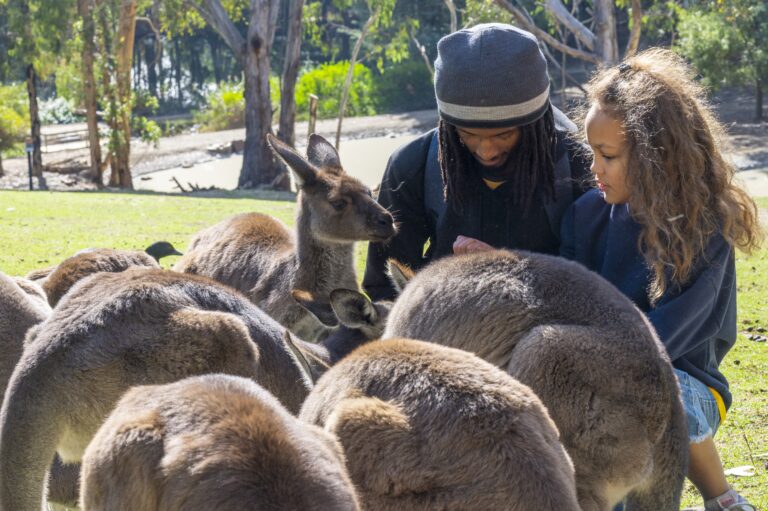 Warrawong Adelaide Hills SA 20220511 160 768x511