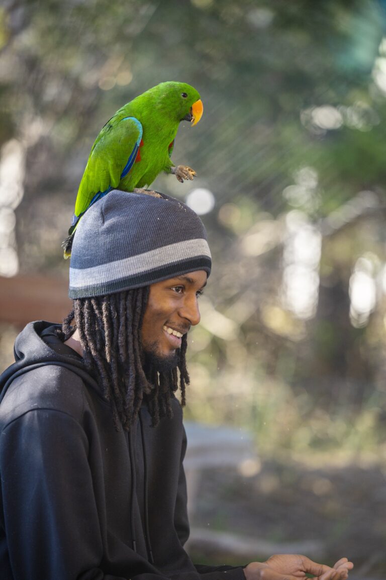 Warrawong Adelaide Hills SA 20220511 41 1 768x1154